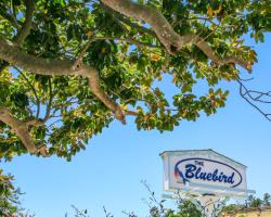 Bluebird Inn