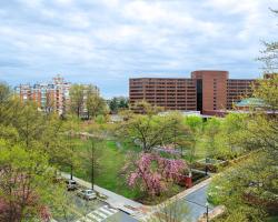 Washington Marriott Wardman Park