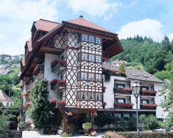 Hotel Hirsch