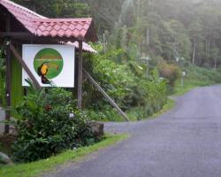 Pachamama Jungle River Lodge - Punta Uva