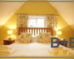 B+B York