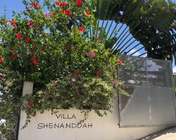 Villa Shenandoah