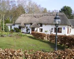 Thatch Cottage Guest House