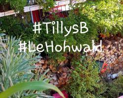 Tilly's B&B and apartment house