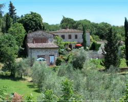 Campo Agli Olivi