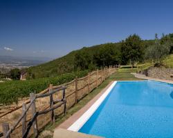 Podere di Pomaio Green Winery