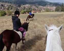 Dona Guest House - Horse Riding