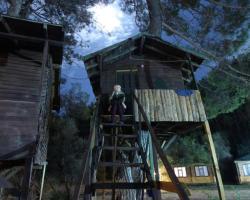 Olympos Woods