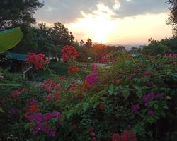 แม่แตงวิวดอย รีสอร์ท (Maetang View Doi Resort)