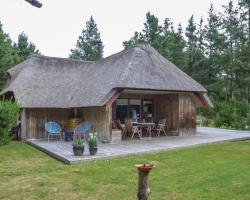 Holiday Home Møllehusvej Blåvand IV