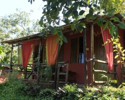 Galaxy Jungle Huts