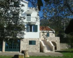 Apartmani Dragović