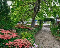 Nesuto Leura Gardens