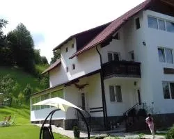 Pensiunea Vladut