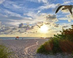 Turtle Crawl Inn - Longboat Key