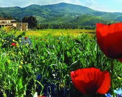 Agriturismo La Petrosa