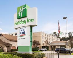 Holiday Inn Houston Intercontinental Airport, an IHG Hotel