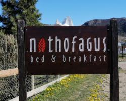 Nothofagus Bed & Breakfast