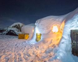 Village Igloo Blacksheep