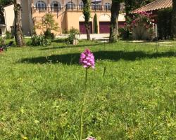 Logis Hôtel Restaurant Le Castel Fleuri