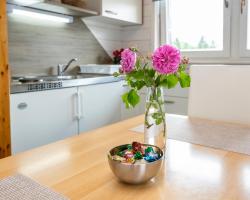 Apartment Kikelj