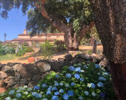 Apartamentos Rurales La Macera ****