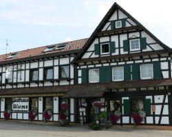 Hotel Landgasthof Blume