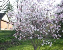 Carrousel Bed & Breakfast