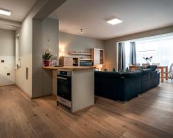 Ski-In/Ski-Out Appartements Augasse by Schladming-Appartements