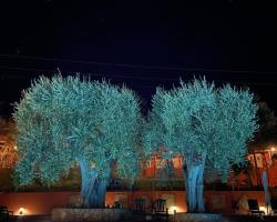 Hotel Resort Poggio degli Ulivi