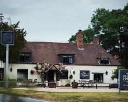 The Pheasant