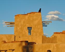 Canyon Of The Ancients Guest Ranch