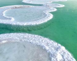 Nadia Hosting Dead Sea