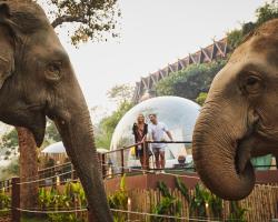 Anantara Golden Triangle Elephant Camp & Resort