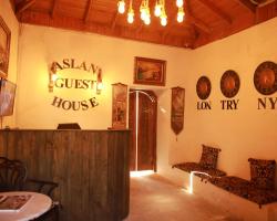 Aslan Guest House