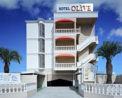 Hotel Fine Olive Sakai