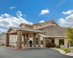 Comfort Inn & Suites Dimondale - Lansing