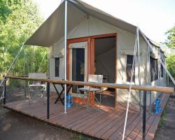 The Wild Olive Tree Camp