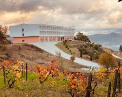 Placido Hotel Douro - Tabuaco