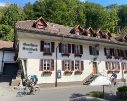 Historic Hotel Steinbock