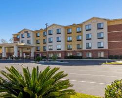 Comfort Inn & Suites Montgomery Eastchase