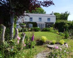 Vine Cottage