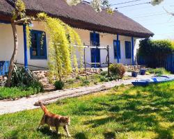 Traditional House in Danube Delta