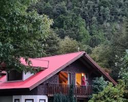 Hotel Salto del Carileufu