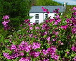 Stag's Head Farm