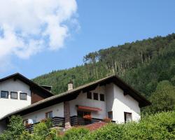 Ferienwohnungen Schwarzwald Panorama