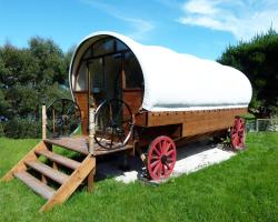 Wacky Stays - unique farm-stay glamping rentals, FREE animal feeding tours