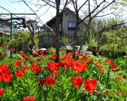 Milorava's Guest House & Wine Cellar