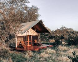 Honeyguide Tented Safari Camp - Khoka Moya