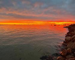 Shark Bay Seafront Apartments